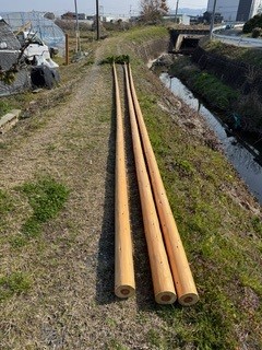 草道に真っ直ぐに横たえられた、3本の非常に長くて立派な鯉のぼり用木製竿。