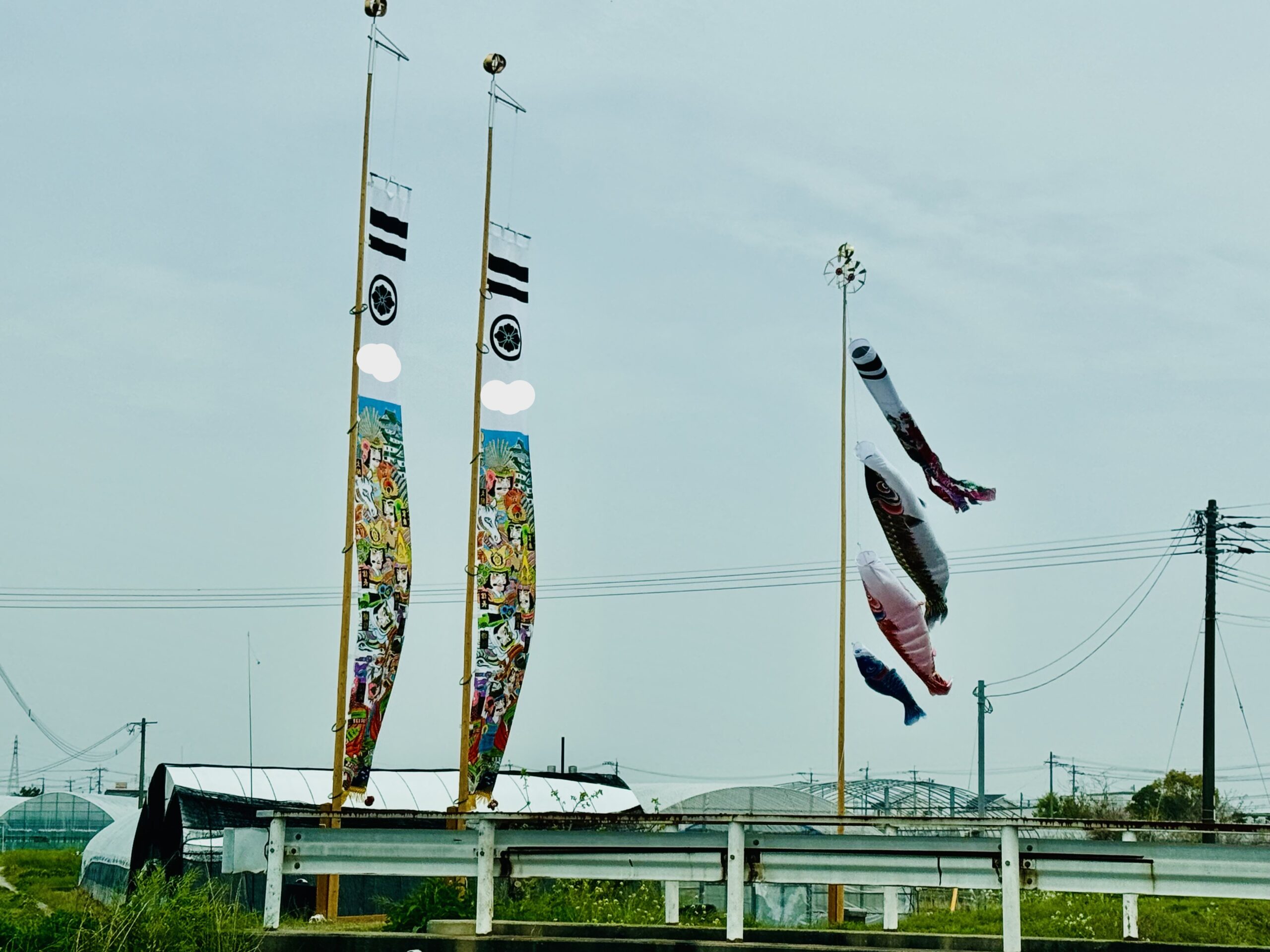 設置後に風になびく鯉のぼりと武者のぼりの様子